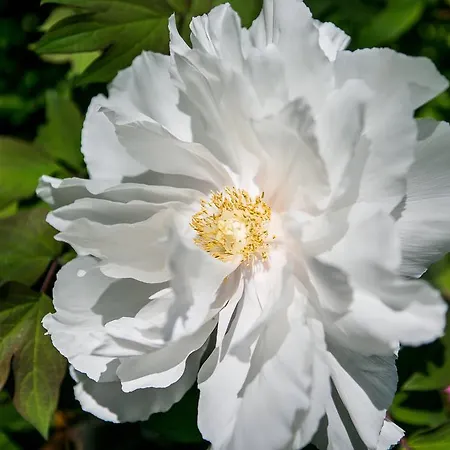 B&B Casa Dei Grilli 4*