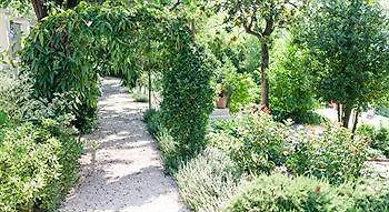 Bed & Breakfast Casa Dei Grilli Longiano