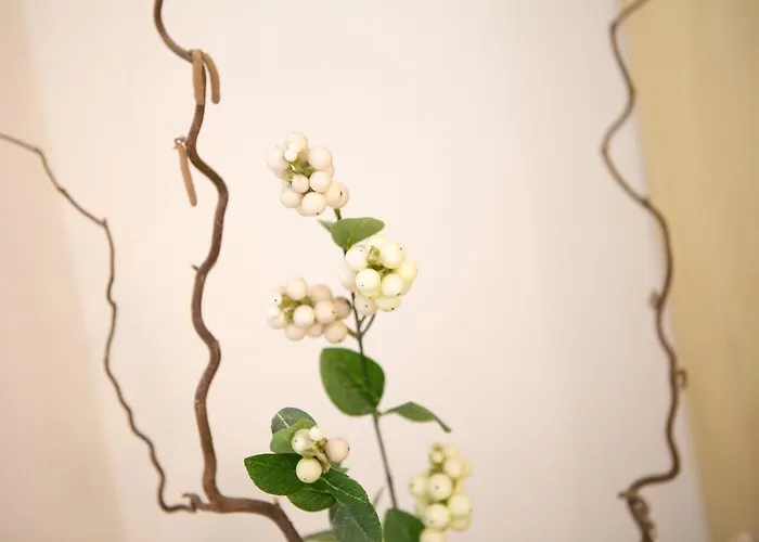 فندق مبيت وإفطار Casa Dei Grilli