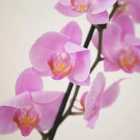 Bed & Breakfast Casa Dei Grilli