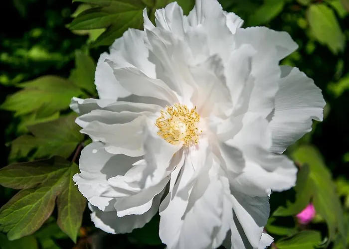 Couette-café Casa Dei Grilli 4*