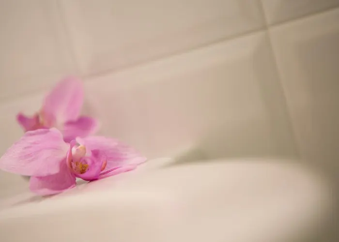 Couette-café Casa Dei Grilli Longiano